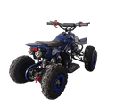 tsilova Tsilova 49cc Dragon Atv 49cc Miniquad TSI Speed Kinderquad Pocketquad Benziner