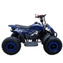 tsilova Tsilova 49cc Dragon Atv 49cc Miniquad TSI Speed Kinderquad Pocketquad Benziner