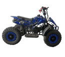 tsilova Tsilova 49cc Dragon Atv 49cc Miniquad TSI Speed Kinderquad Pocketquad Benziner