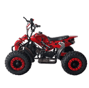 tsilova Tsilova 49cc Dragon Atv 49cc Miniquad TSI Speed Kinderquad Pocketquad Benziner