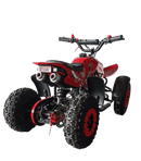 tsilova Tsilova 49cc Dragon Atv 49cc Miniquad TSI Speed Kinderquad Pocketquad Benziner