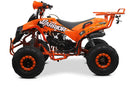 tsilova Menila ATV Warrior Platin Serie ATV Warrior RG 8 125cc Midi Quad 8 Zoll Automatik + RG Kinderquad / Platin Serie Benziner