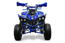 tsilova Menila ATV Warrior Platin Serie ATV Warrior RG 8 125cc Midi Quad 8 Zoll Automatik + RG Kinderquad / Platin Serie Benziner
