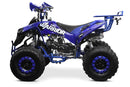 tsilova Menila ATV Warrior Platin Serie ATV Warrior RG 8 125cc Midi Quad 8 Zoll Automatik + RG Kinderquad / Platin Serie Benziner