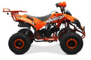 tsilova Menila ATV Warrior Platin Serie ATV Warrior RG 8 125cc Midi Quad 8 Zoll Automatik + RG Kinderquad / Platin Serie Benziner