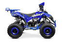 tsilova Menila ATV Warrior Platin Serie ATV Warrior RG 8 125cc Midi Quad 8 Zoll Automatik + RG Kinderquad / Platin Serie Benziner