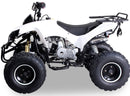 tsilova Menila ATV Warrior Platin Serie Weiß ATV Warrior RG 8 125cc Midi Quad 8 Zoll Automatik + RG Kinderquad / Platin Serie Benziner