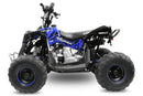 Avenger 125 cc Prime 6” E-Start Automatik midi Kinderquad - Tsilova