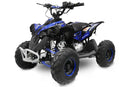 Avenger 125 cc Prime 6” E-Start Automatik midi Kinderquad - Tsilova