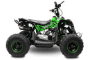 Avenger 125 cc Prime 6” E-Start Automatik midi Kinderquad - Tsilova