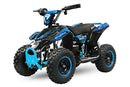 Madox Eco mini Quad 800W/36V 6 Zoll 3 Stufen - Tsilova