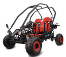 Kinderbuggy 125cc Midi Buggy E-Start 7 Zoll Automatik + RG - Tsilova