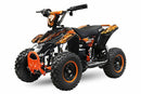 Madox Eco mini Quad 800W/36V 6 Zoll 3 Stufen - Tsilova