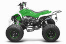 Panthera 3G8 RS midi Quad 125cc 8 Zoll Semi-Automatik + RG ATV Kinderquad - Tsilova