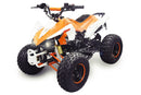 Panthera 3G8 RS midi Quad 125cc 8 Zoll Semi-Automatik + RG ATV Kinderquad - Tsilova