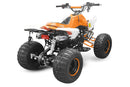 Panthera 3G8 RS midi Quad 125cc 8 Zoll Semi-Automatik + RG ATV Kinderquad - Tsilova