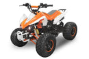 Panthera 3G8 RS midi Quad 125cc 8 Zoll Semi-Automatik + RG ATV Kinderquad - Tsilova