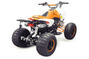 Panthera 3G8 RS midi Quad 125cc 8 Zoll Semi-Automatik + RG ATV Kinderquad - Tsilova