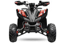 Rizzo RS7-A midi Quad 125cc 7 Zoll Automatik + Rückwärtsgang Kinderquad - Tsilova
