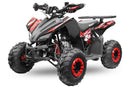Rizzo RS7-A midi Quad 125cc 7 Zoll Automatik + Rückwärtsgang Kinderquad - Tsilova