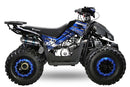 Rizzo RS8-3G midi Quad 125cc 8 Zoll Semi- Automatik + RG Kinderquad Platin Line - Tsilova