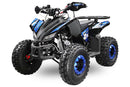 Rizzo RS8-3G midi Quad 125cc 8 Zoll Semi- Automatik + RG Kinderquad Platin Line - Tsilova