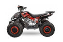 Rizzo RS8-3G midi Quad 125cc 8 Zoll Semi- Automatik + RG Kinderquad Platin Line - Tsilova