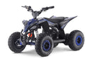 tsilova Tsilova Deutschland ATV Quad Blau Replay Deluxe XXL Eco mini Quad 1500W