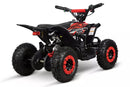 tsilova Tsilova Deutschland ATV Quad Replay Deluxe Eco mini Quad 1000W 36V 6 Zoll Quick Change Akkupack