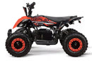 tsilova Tsilova Deutschland ATV Quad Replay Deluxe Eco mini Quad 1000W 36V 6 Zoll Quick Change Akkupack