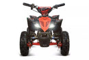 tsilova Tsilova Deutschland ATV Quad Replay Deluxe Eco mini Quad 1000W 36V 6 Zoll Quick Change Akkupack
