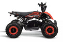 tsilova Tsilova Deutschland ATV Quad Replay Deluxe Eco mini Quad 1000W 36V 6 Zoll Quick Change Akkupack