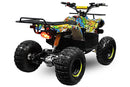 tsilova Tsilova Deutschland ATV Quad Toronto Eco Quad 1000W S8 48V 8 Wellenantrieb Differential Boardcomputer