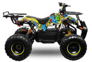tsilova Tsilova Deutschland ATV Quad Toronto Eco Quad 1000W S8 48V 8 Wellenantrieb Differential Boardcomputer