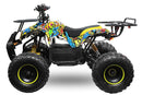 tsilova Tsilova Deutschland ATV Quad Toronto Eco Quad 1000W S8 48V 8 Wellenantrieb Differential Boardcomputer