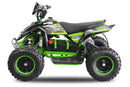 Eco Madox 800W 6" Premium | 36V - Tsilova