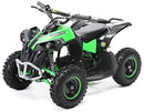 Eco Warrio midi Quad 1000W 36V - Tsilova