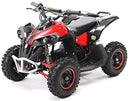 Eco Warrio midi Quad 1000W 36V - Tsilova