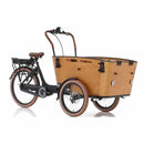 tsilova Tsilova Deutschland Elektrofahrrad Curve 3 Schwarz Braun Lastenrad Curve 3   250W E-Bike  26 Zoll 5-Stufen Unterstützung 7-Gang Shimano