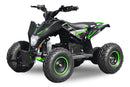 Eco Madox XXL Deluxe 1000W 36V 6 Zoll - Tsilova