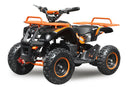 tsilova Tsilova Deutschland Torino Eco mini Quad 800 W Orange Eco mini Quad 800 W 36V 6 Zoll 3 Stufen Automatik + RG