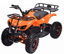 tsilova tsilova Elektro Kinder Quad 800 W Orange Elektro Kinder Quad 800 W 36V 6 Zoll 3 Stufen Automatik + RG