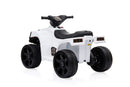 Offroad Panda ATV Kinder Elektro Geländewagen 25W - Tsilova