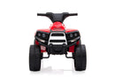 Offroad Panda ATV Kinder Elektro Geländewagen 25W - Tsilova