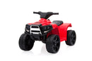 Offroad Panda ATV Kinder Elektro Geländewagen 25W - Tsilova