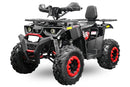 tsilova Tsilova Großhandel & Einzelhandel Quad Rugby RS10 CVT V2 maxi Quad 180cc 10 Zoll Automatik + RG