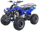 Warrior 125 cc RG 8" Automatic + RG Kinderquad - Tsilova