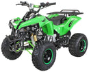 Warrior 125 cc RG 8" Automatic + RG Kinderquad - Tsilova