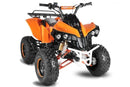 Warrior 125 cc RG 8" Automatic + RG Kinderquad - Tsilova