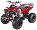 Warrior 125 cc RG 8" Automatic + RG Kinderquad - Tsilova